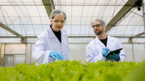 The ‘Per-Plant’ Revolution: Agricultural Engineering’s Molecular Shift